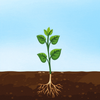 File:Communications ecosystem.gif