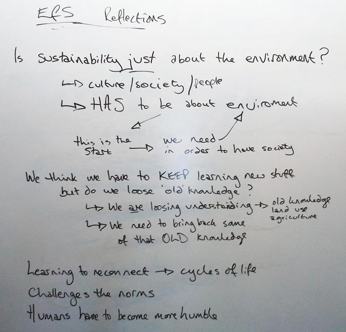 EfS Reflections.jpg