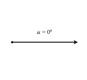 Angulocero.png