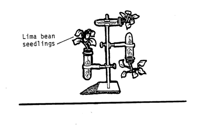 File:M110.png