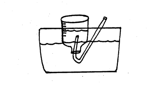 File:P163.png