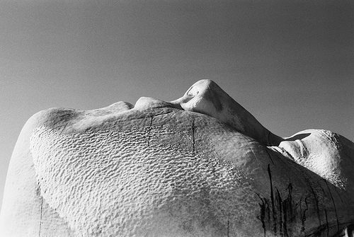 File:Profile.jpg