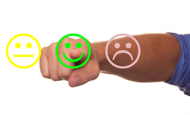 File:Review feedback.jpg