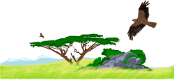Biodiversity