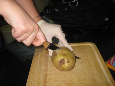File:Cutting potato.jpg