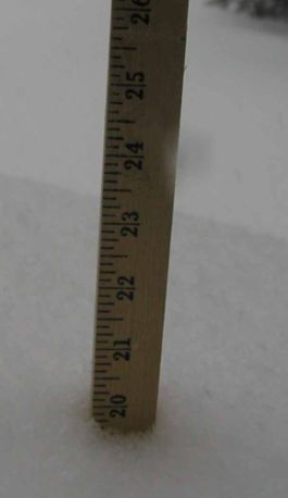 File:445smallSnow.jpg