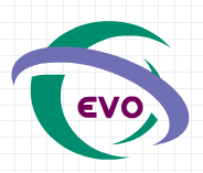 Evo09.gif