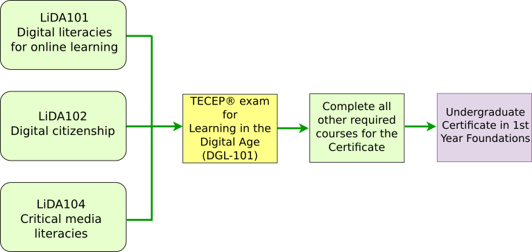 LiDA - Micro-Credential Pathways-TESU.png