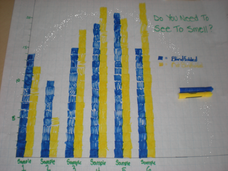 File:MarianSMCfinishedgraph.png