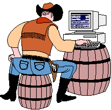File:Cowboy on computer.gif
