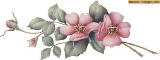 Flower018.gif