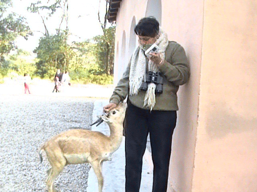File:Jimcorbett.gif