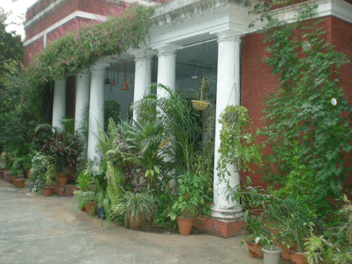 File:Home0802.gif