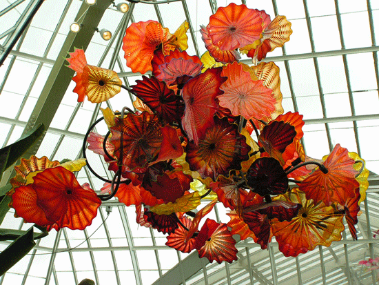 File:Pict0259.gif