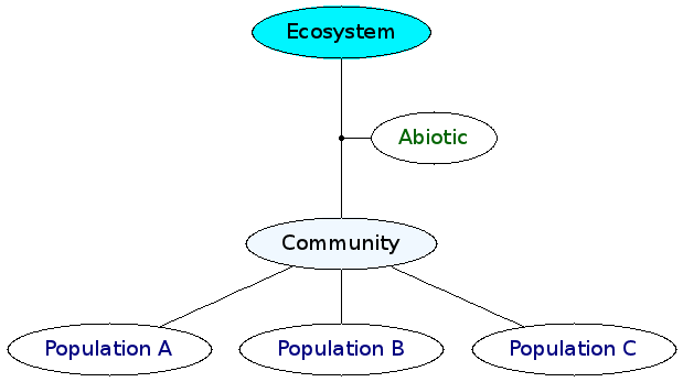 File:JohnWS-Ecosystem.png