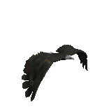 File:Eagle fly.gif