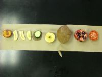Fruitlayout.jpg