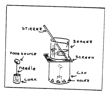 File:M117.png
