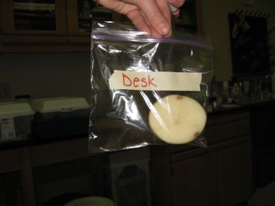File:Desk potato.jpg