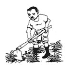 LAND PREPARATION