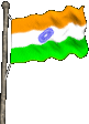 National flag of India