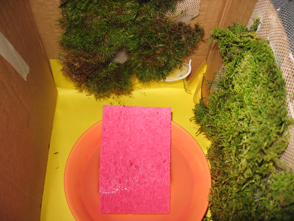 Mossbox.png