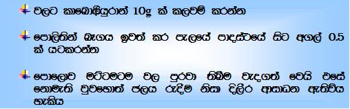 Ns13.JPG