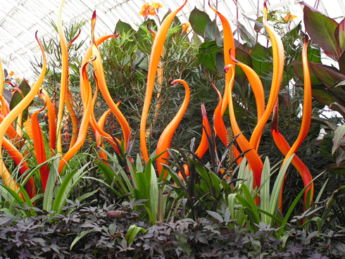 File:Pict0205.gif