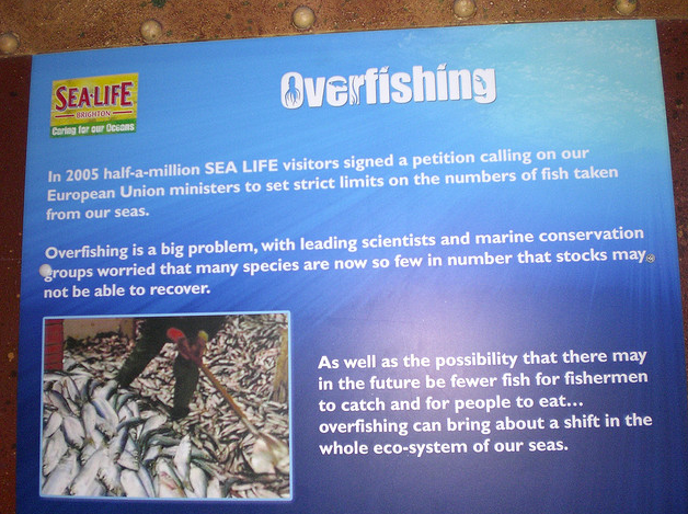 File:Overfishing.png