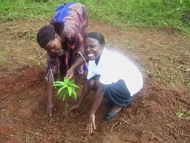 File:Planting.jpg