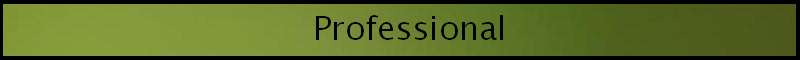 Professional.png