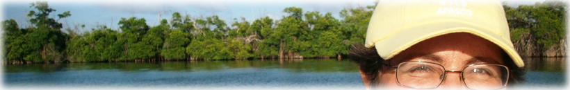 BannerChela820x130.png