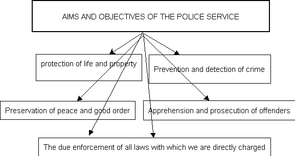 File:ORGANOGRAM2.png