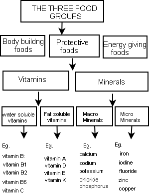 File:ProtectiveFood4.png