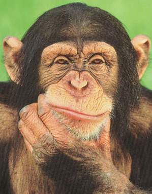 File:Thinkingrules.jpg