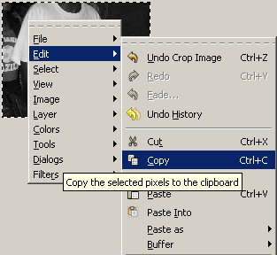 EditCopyFromGimp.png