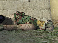 Deadiniraq.jpeg