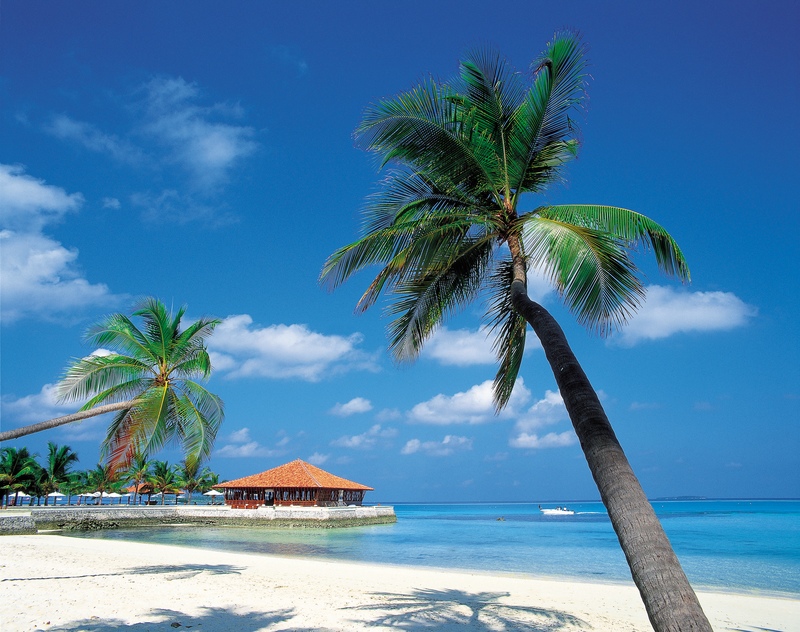 Caribbeanview.jpeg