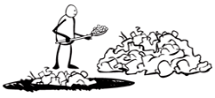 The Story of Stuff