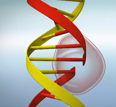 File:Ligase.png