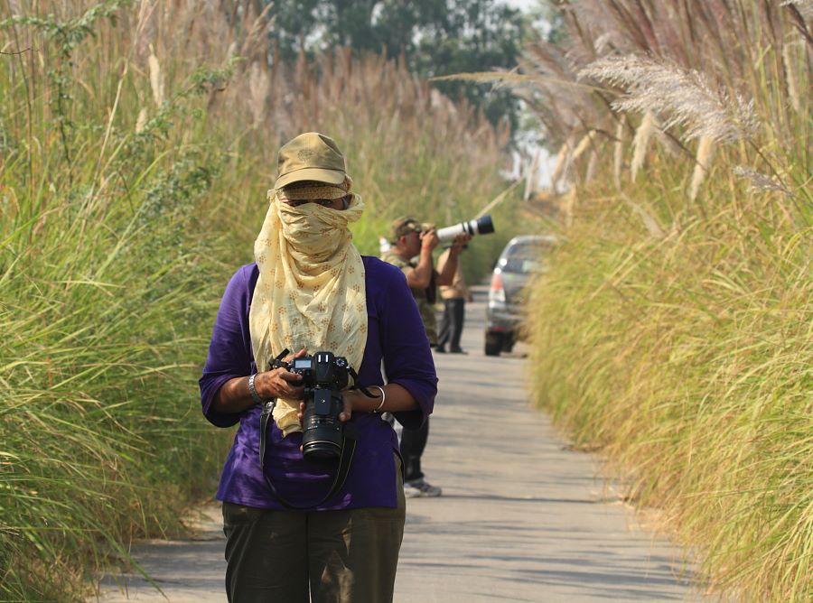 Dressed for birding