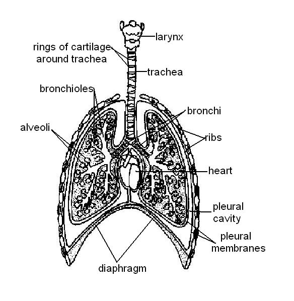 RTENOTITLE