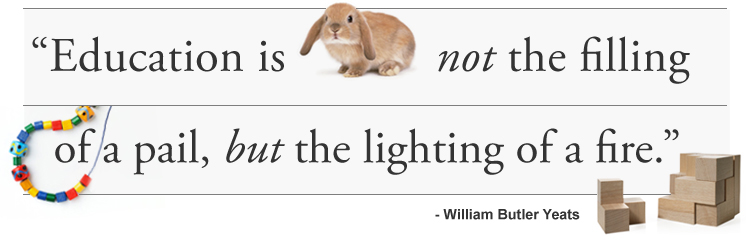TS Quotes Curriculum.jpg