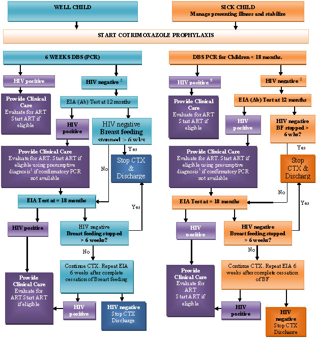 Algorithmforhiv.jpg