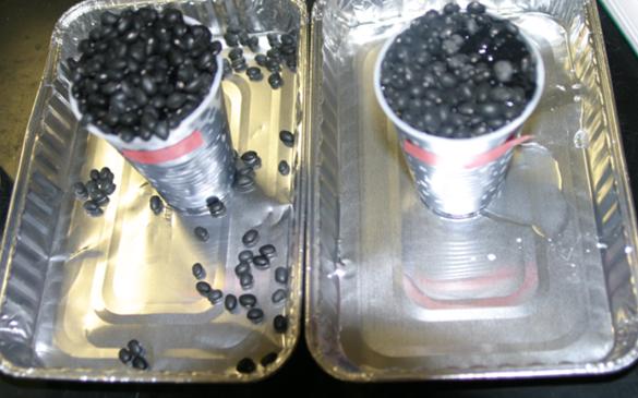 File:Beans4.png
