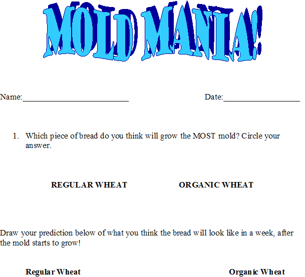 File:Mold mania worksheet.doc.png