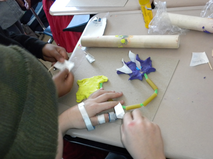 File:Teaching bio 2.png