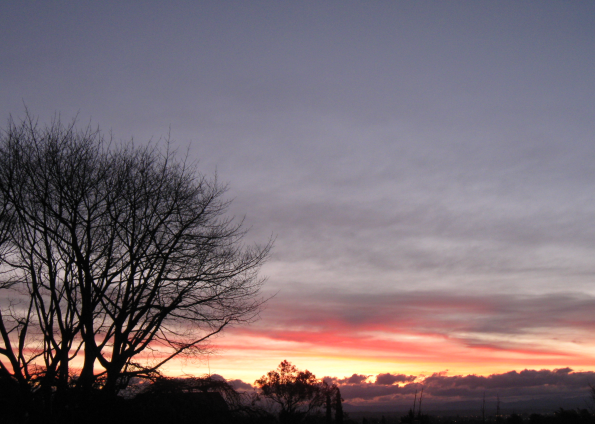 File:2009HaveLockNorth.png