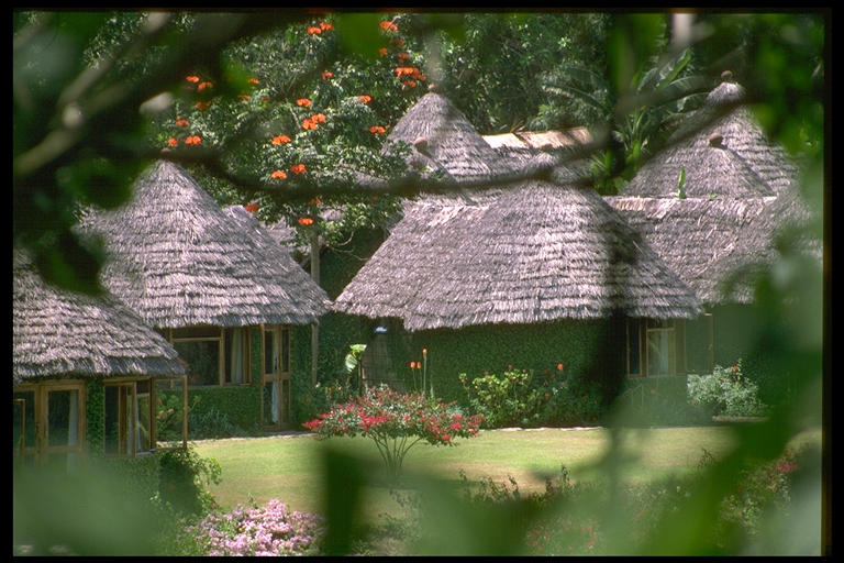 File:Maskani.jpg
