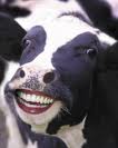 Nokulunga.jpg